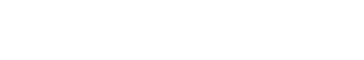 logo footer