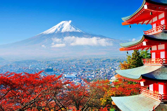 Japn en 7 das- Sin Areo