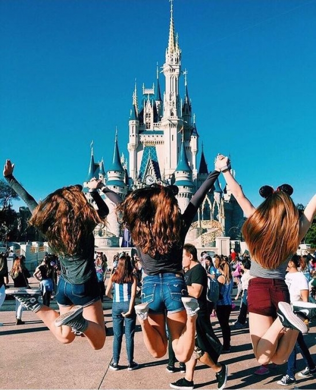 Team 15 Disney Vip
