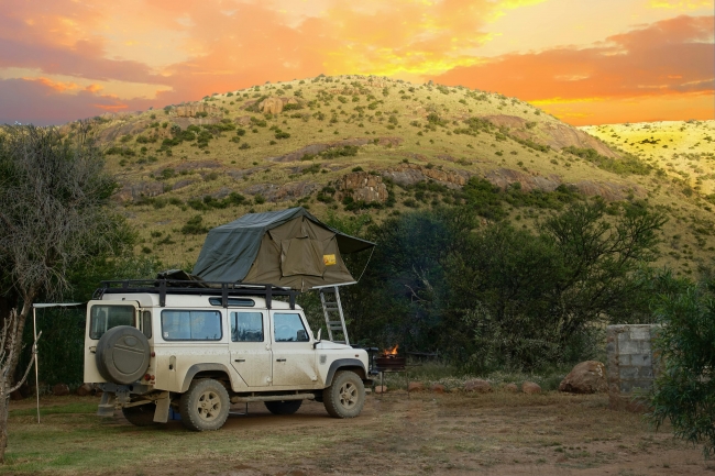 Safari: el Latido de frica - 08/11/2025