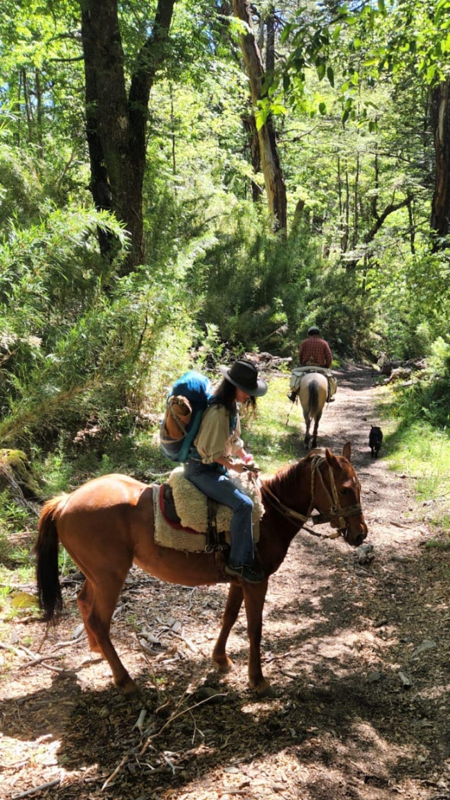 Bariloche y San Mart�n de los Andes