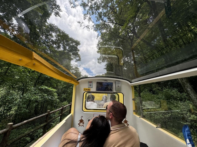 CHINA - Cultura milenaria y modernidad