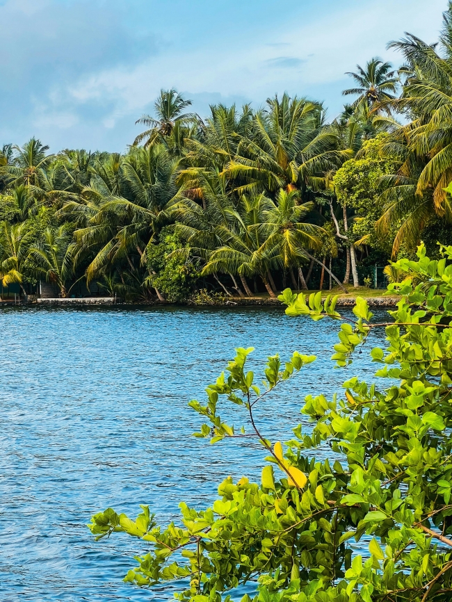 Costa Rica - Salida grupal acompa�ada