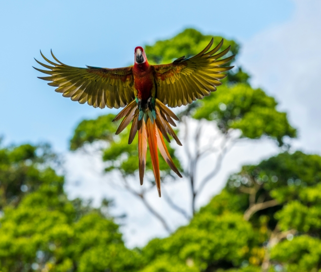 Costa Rica �Pura Vida!