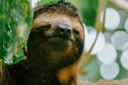 Costa Rica �Pura Vida!