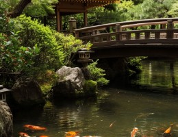 Japn - Un viaje entre lo ancestral y lo futurista