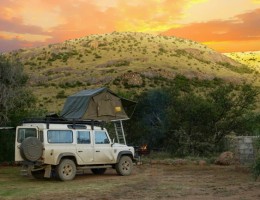 Safari: el Latido de frica - 08/11/2025