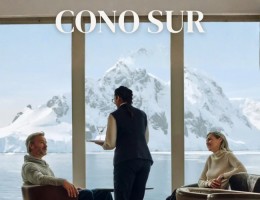 Crucero por el Cono Sur
