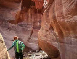 Salta - vacaciones de invierno